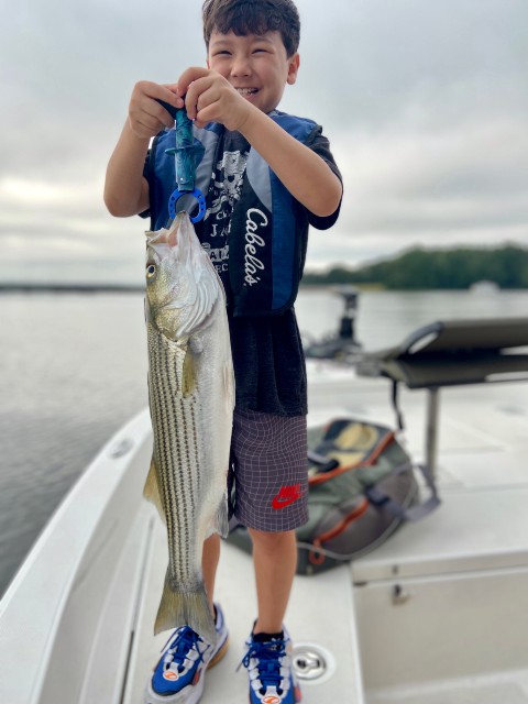 striped bass fishing in lake oconee