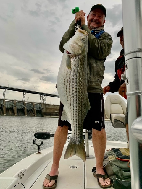 Stripers Fishing in Lake Oconee